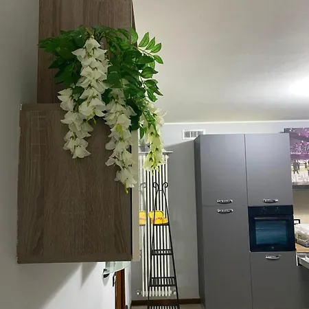B E B House Apartman